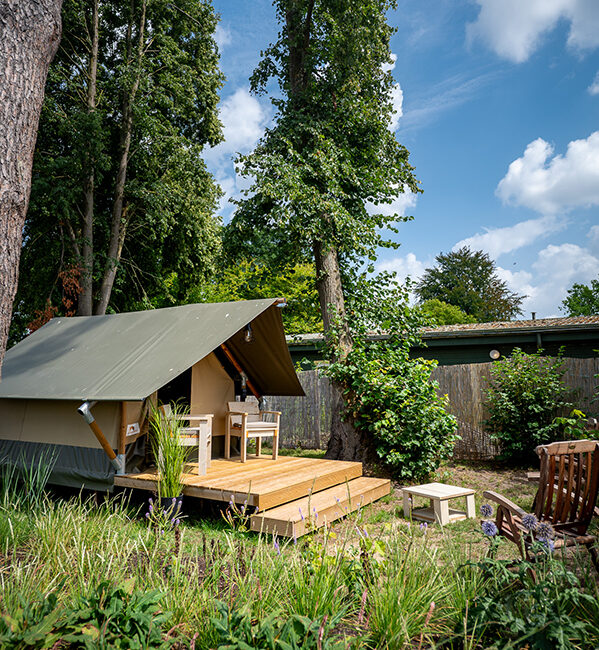 Barrierefreie und saubere Wege führen Sie über den gesamten Campingplatz am Niederrhein.