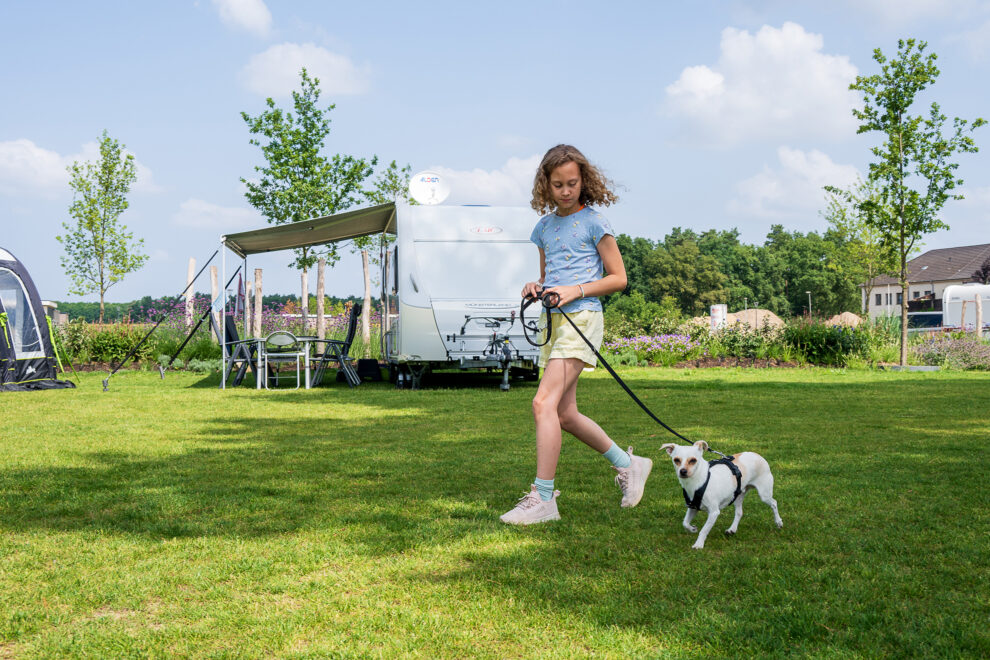 Perfekter Ausgangspunkt für Radtouren beim Camping Niederrhein direkt am Naturpark Schwalm-Nette.