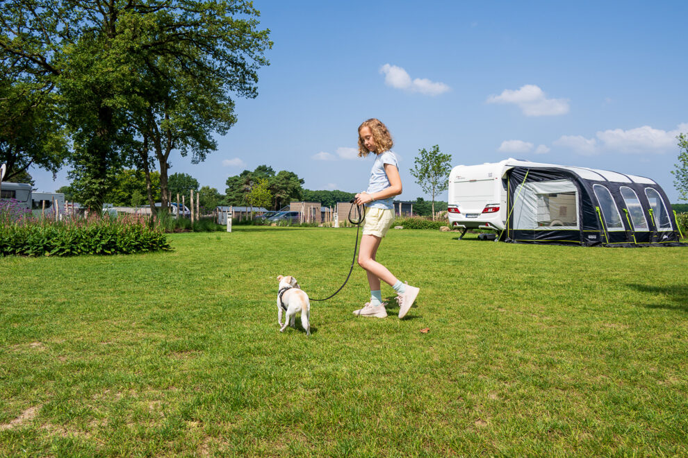 Modernes Camping in NRW erleben: Das Heide-Resort bietet als erstklassiger Campingplatz in NRW Stellplätze für Wohnmobile und Zelte und vor allem für Camping mit Hund.